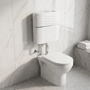 Flushing Cisterns