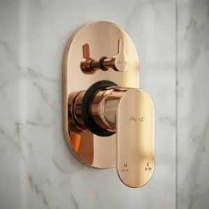 Ornamix (PVD)