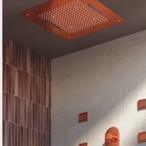 Ceiling Shower