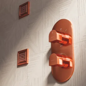 Thermostatic Diverter